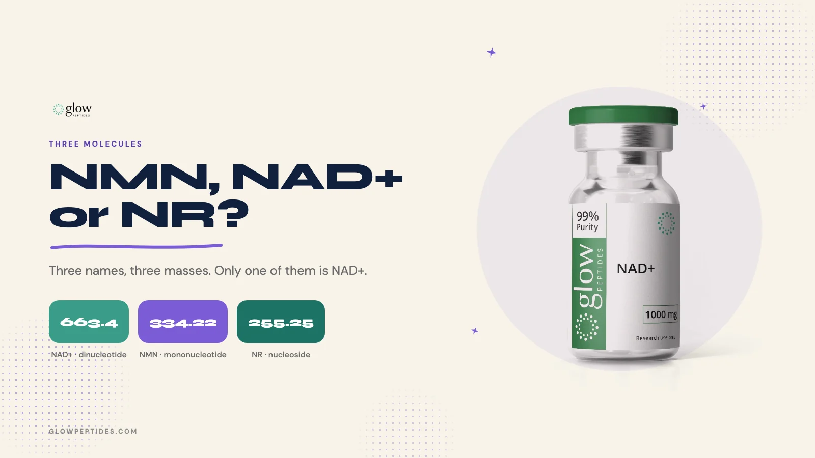 NMN vs NAD vs NR: What Each Name Means